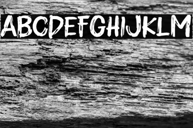 Empety House Caratteri examples