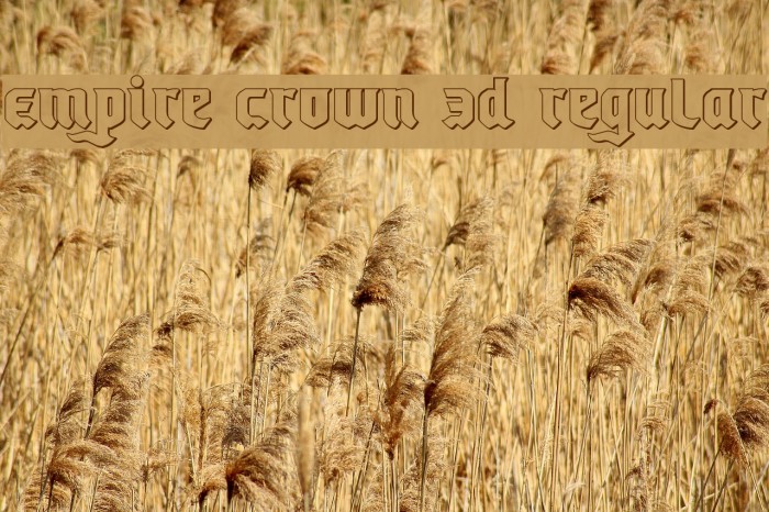 Empire Crown 3D Regular Font examples
