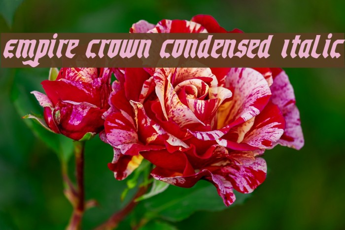Empire Crown Condensed Italic Font examples