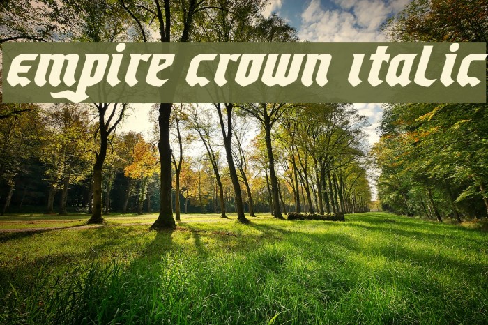 Empire Crown Italic Font examples