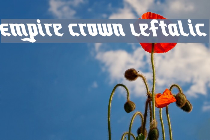 Empire Crown Leftalic Font examples