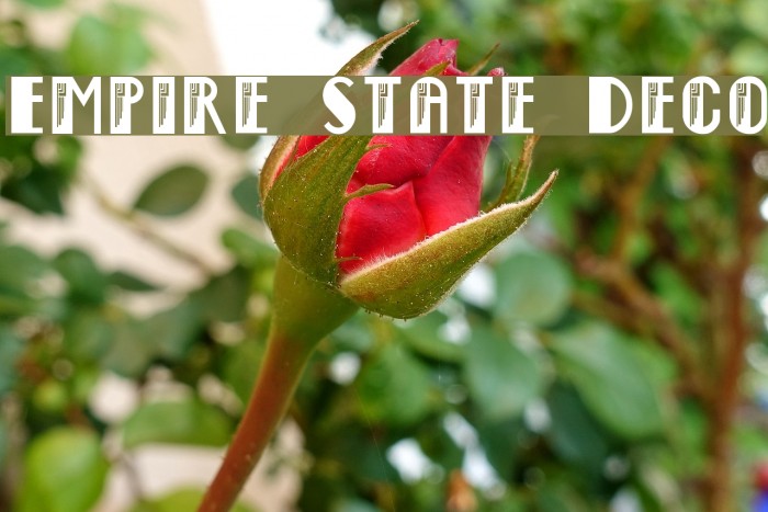Empire State Deco Font examples