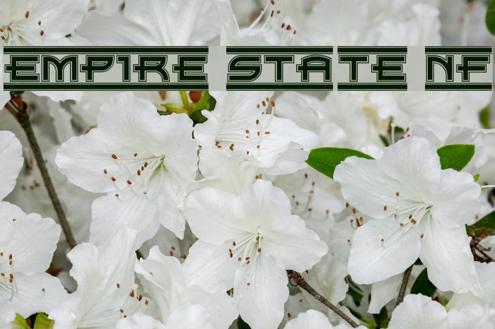Empire State NF Font examples