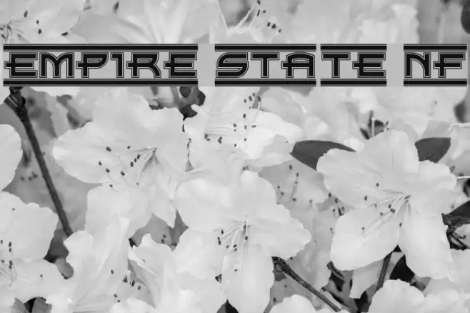 Empire State NF Font examples