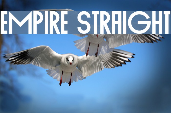 Empire Straight Font examples