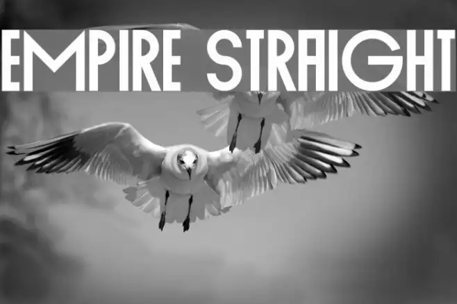 Empire Straight Example 2