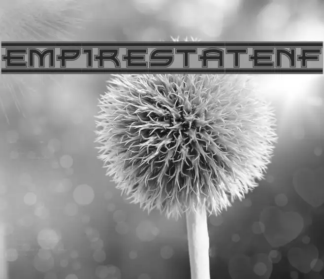 EmpireStateNF Example 1