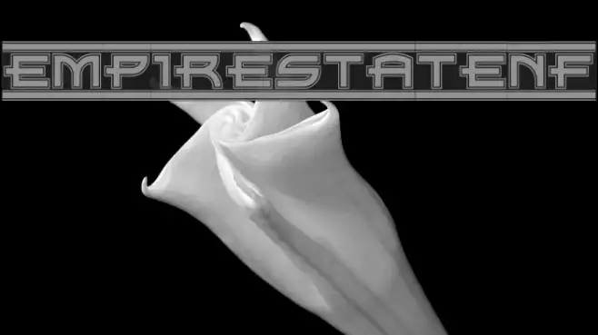 EmpireStateNF Example 2