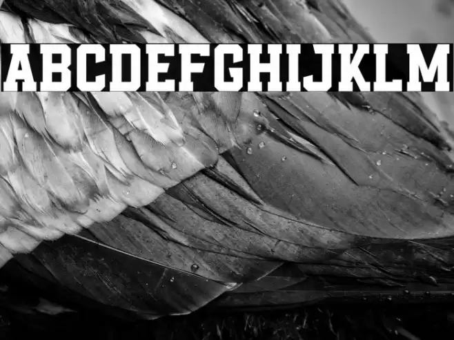 Empirez Font examples