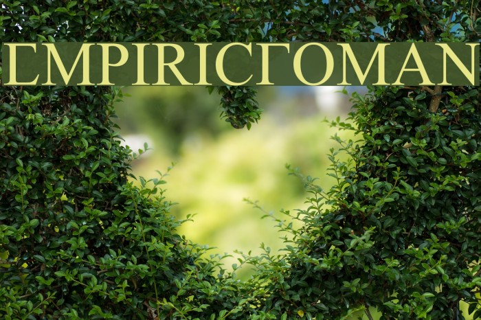 Empiric Roman Font examples