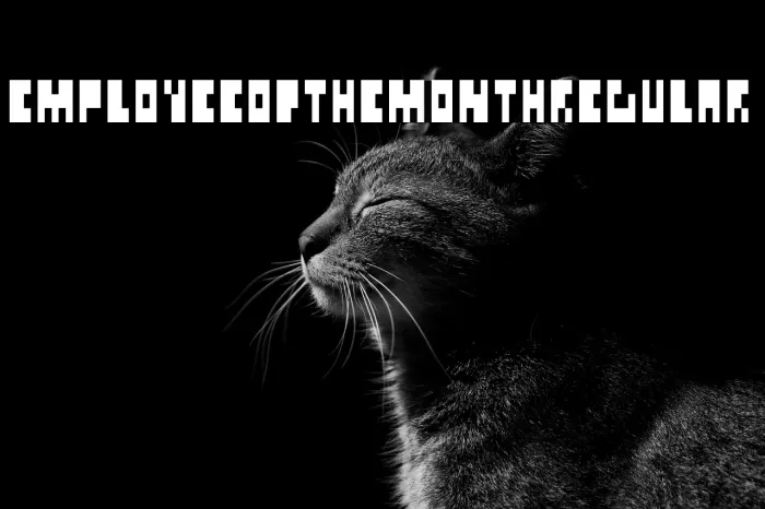 Employee of the month Regular Example 1