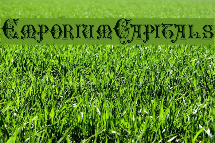 EmporiumCapitals Polices examples