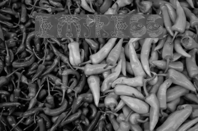 Empress Font examples