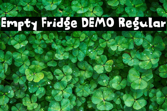 Empty Fridge DEMO Regular Example 2
