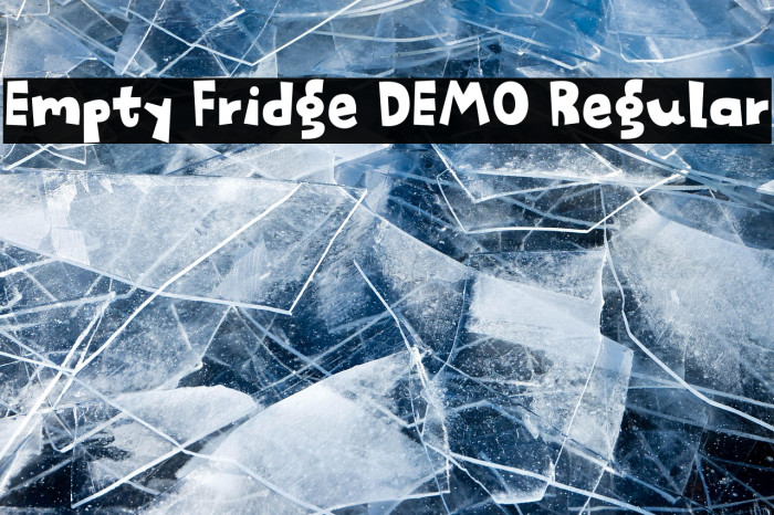 Empty Fridge DEMO Regular Example 3