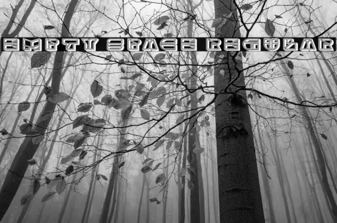 Empty Space Regular Example 1