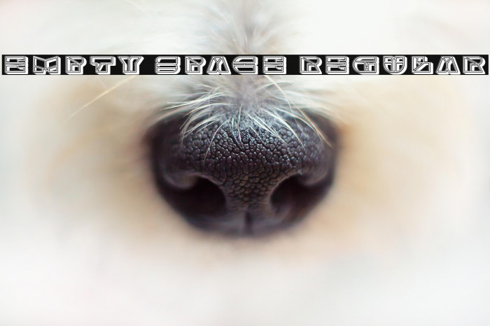 Empty Space Regular Example 2