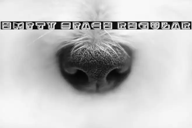 Empty Space Regular Example 2