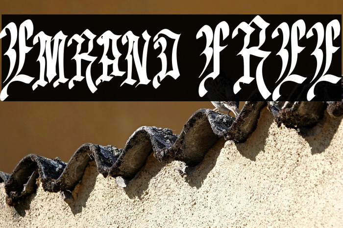 Emrand FREE Example 3