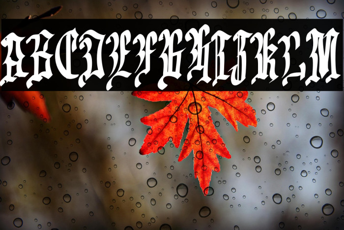 EmrandFREE Example 1