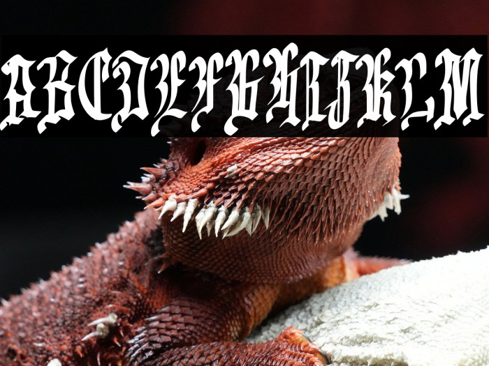 EmrandFREE Example 2