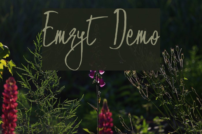 Emryt Demo Font examples