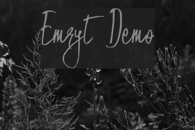 Emryt Demo Example 1