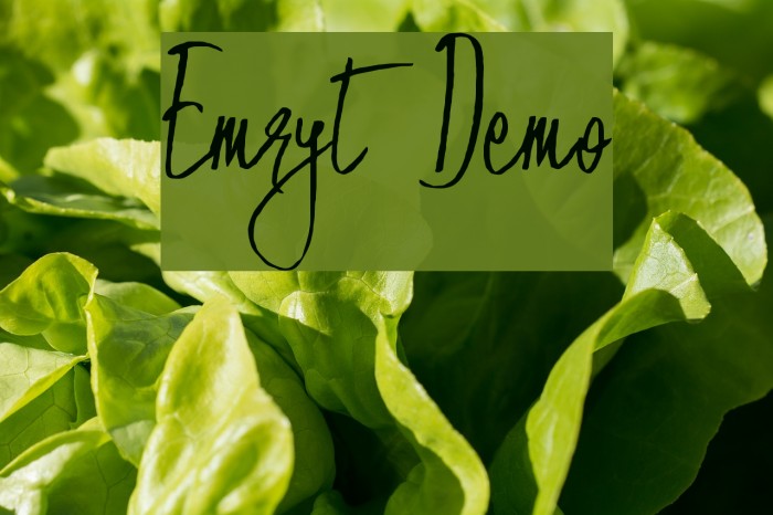 Emryt Demo Font examples