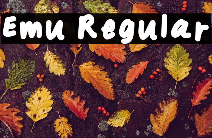 Emu Regular Example 1