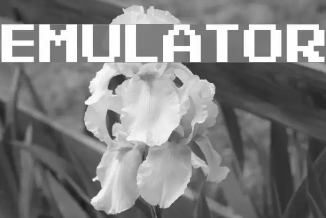 Emulator Font examples