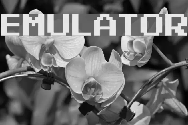 Emulator Font examples