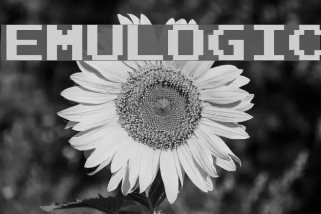 Emulogic Font examples