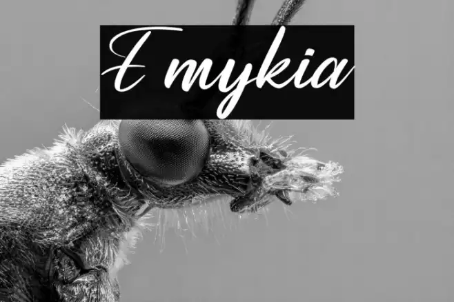 Emykia Example 3