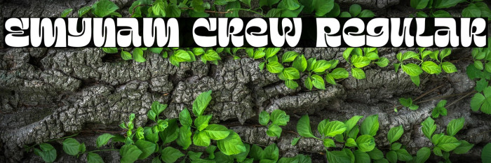 Emynam Crew Regular Example 2