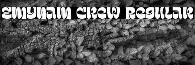 Emynam Crew Regular Font examples