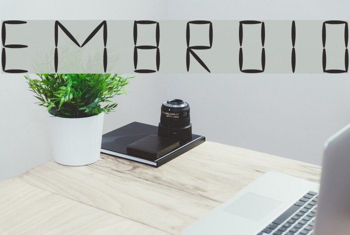 embroid Font examples