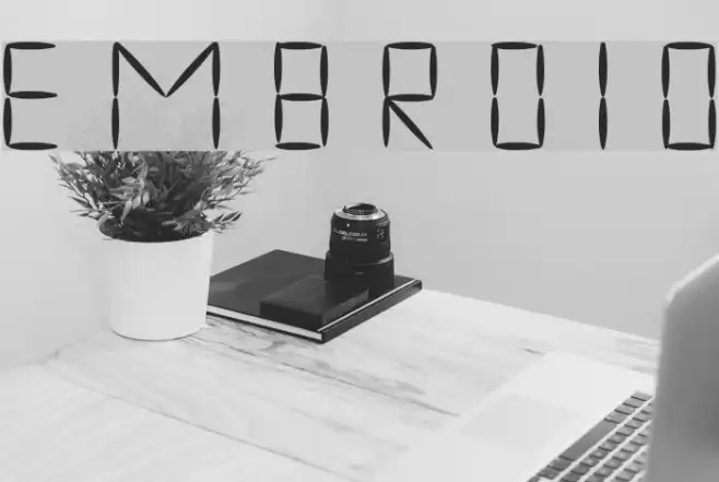 embroid Example 1