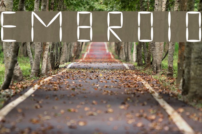 embroid Font examples