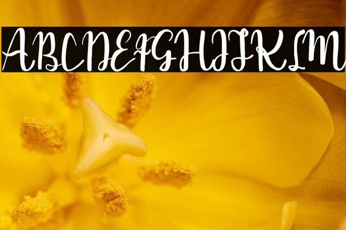 emely bllosam Example 3