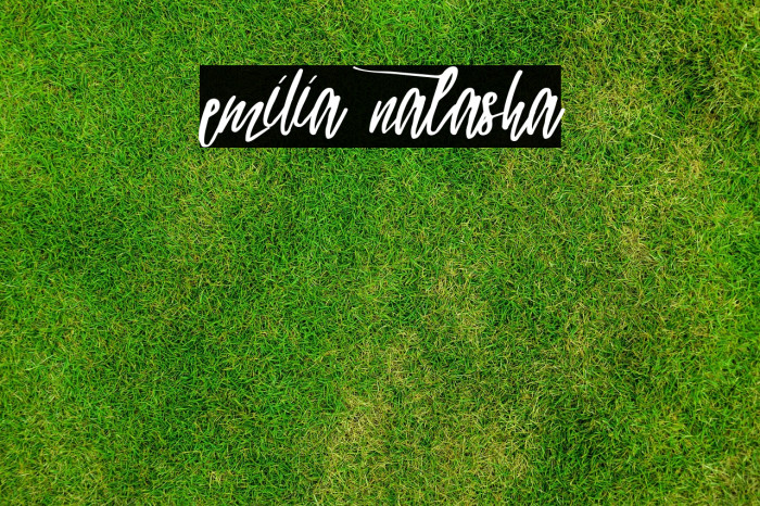 emilia natasha Example 1