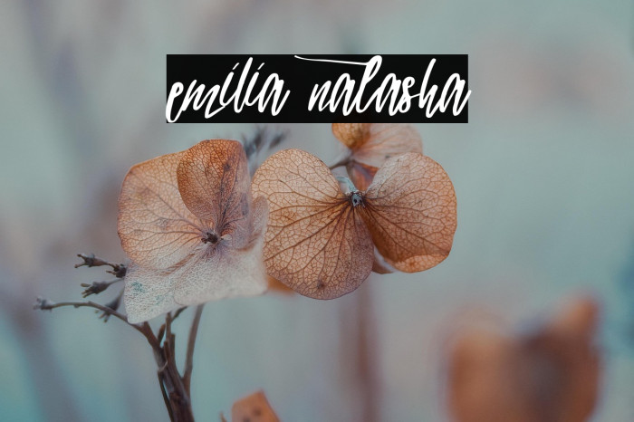 emilia natasha Example 2