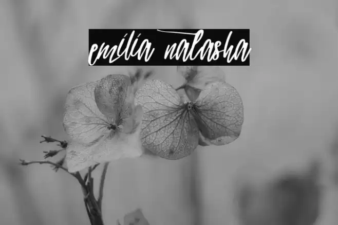 emilia natasha Fuentes examples