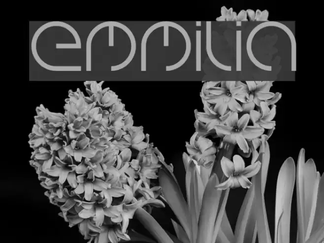 emmilia Font examples