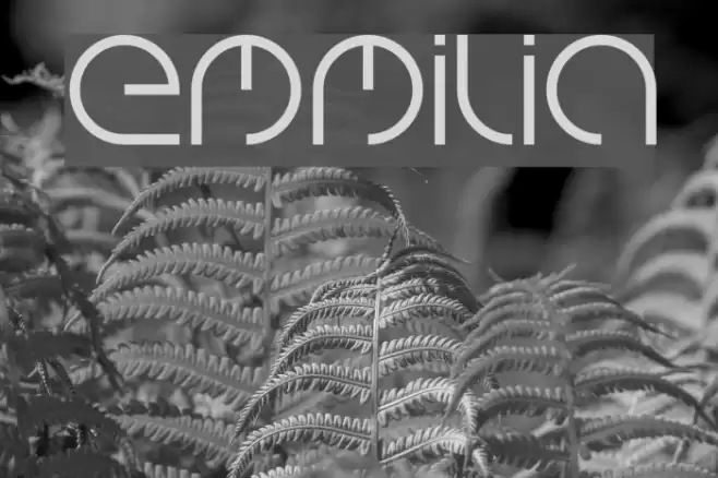 emmilia Font examples