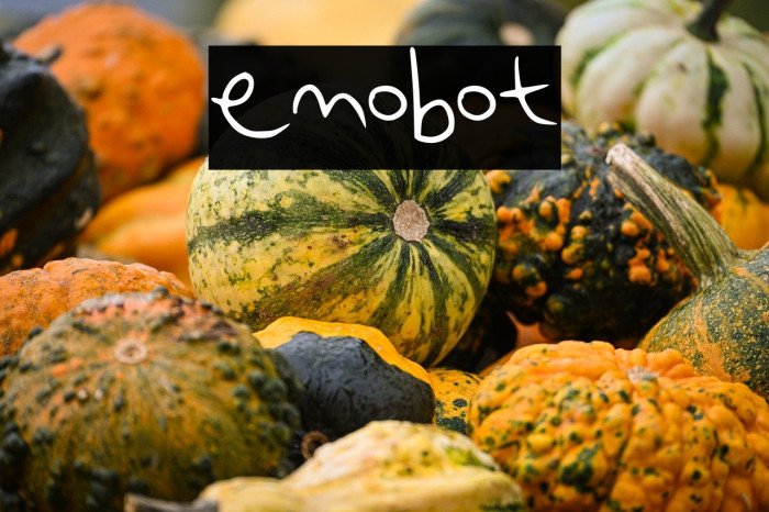 emobot Polices examples