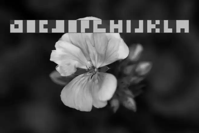 emp_pix Example 2