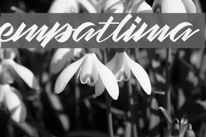 empatlima Font examples