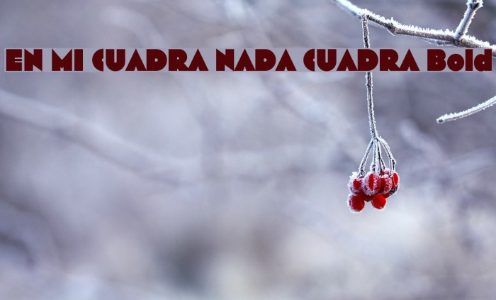 EN MI CUADRA NADA CUADRA Bold Example 1