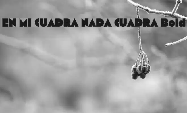 EN MI CUADRA NADA CUADRA Bold Font examples