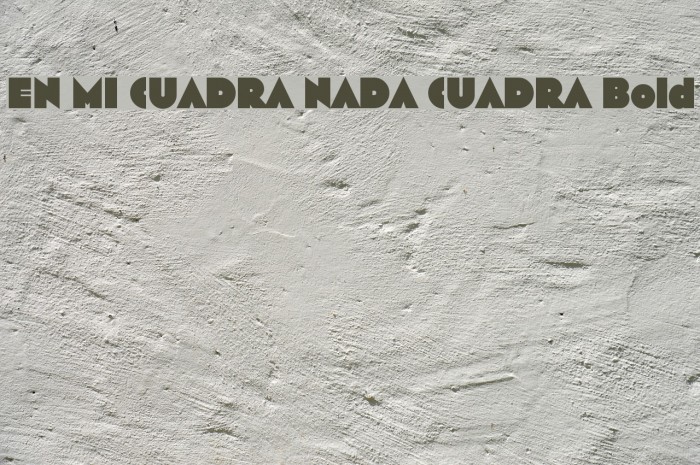 EN MI CUADRA NADA CUADRA Bold Example 2